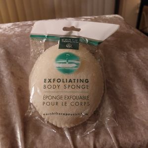 Exfoliating sponge